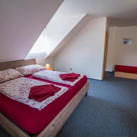 Elsyn Dvur Hotel Stachy
