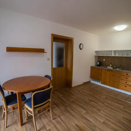 Hotel Elsyn Dvur 3*