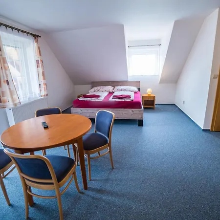 Hotel Elsyn Dvur