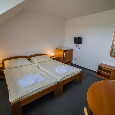 Hotel Elsyn Dvur