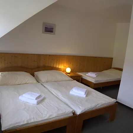 Elsyn Dvur Hotel Stachy