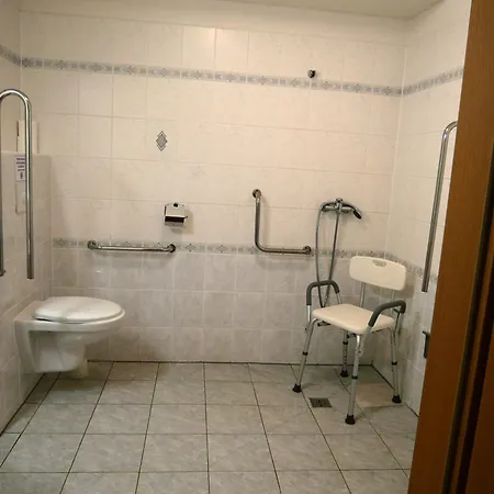 Hotel Elsyn Dvur 3*