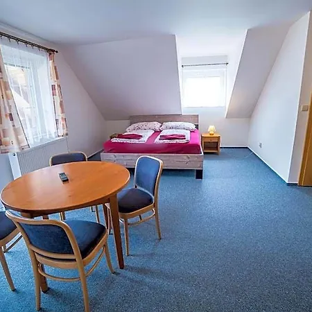 Hotel Elsyn Dvur