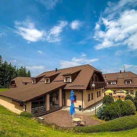 Hotel Elsyn Dvur