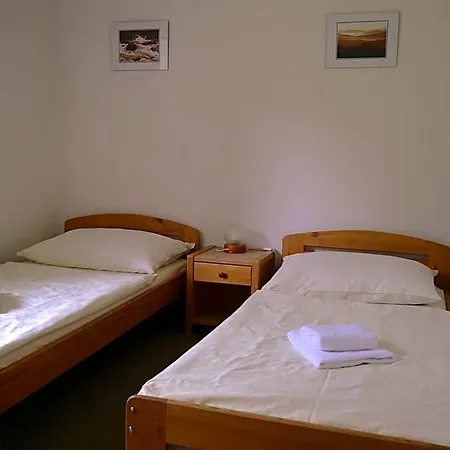 Hotel Elsyn Dvur 3*