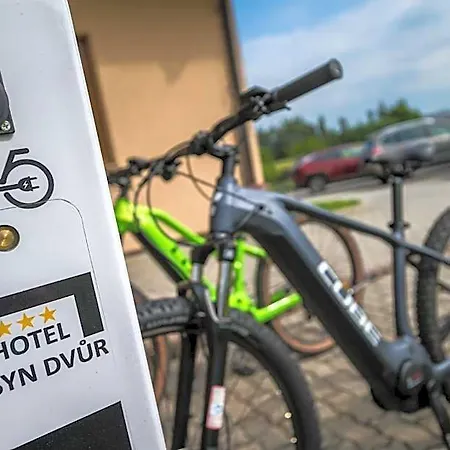 Hotel Elsyn Dvur