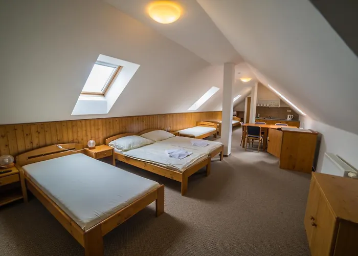 Hotel Elsyn Dvur 3*