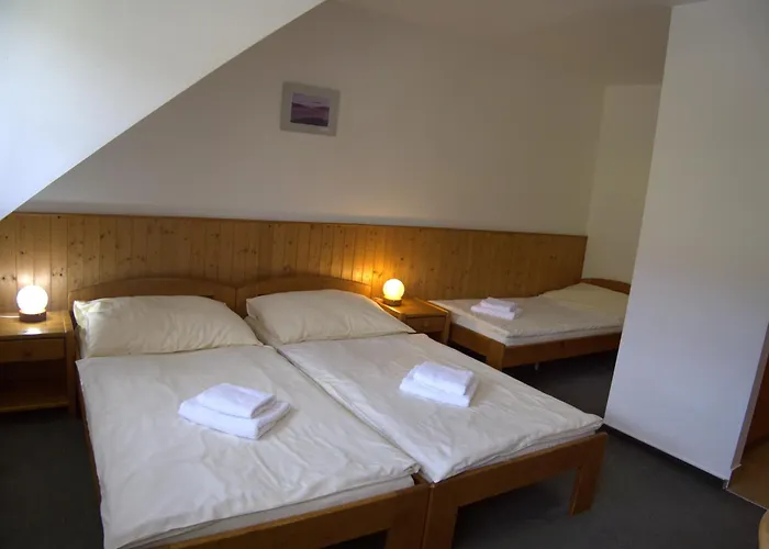 Elsyn Dvur Hotel Stachy