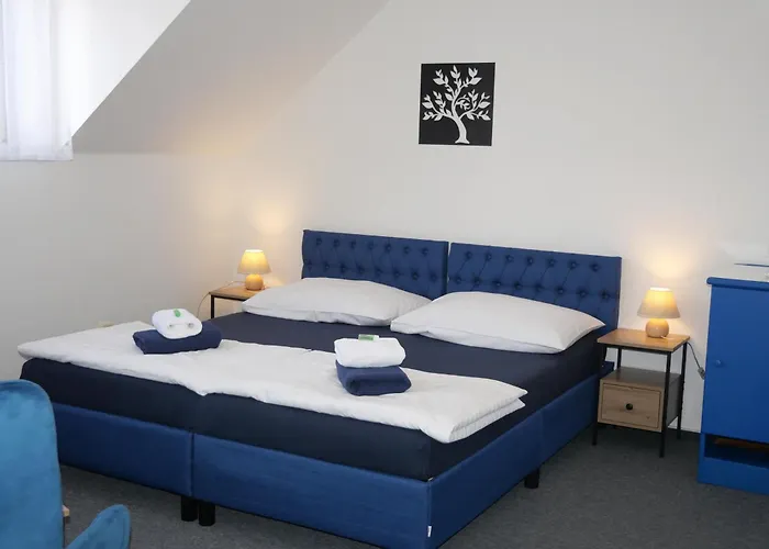 Elsyn Dvur Hotel