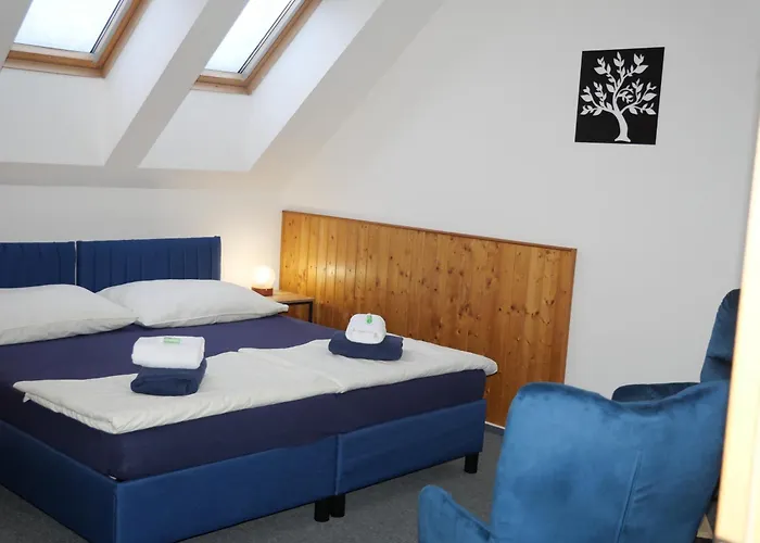 Hotel Elsyn Dvur